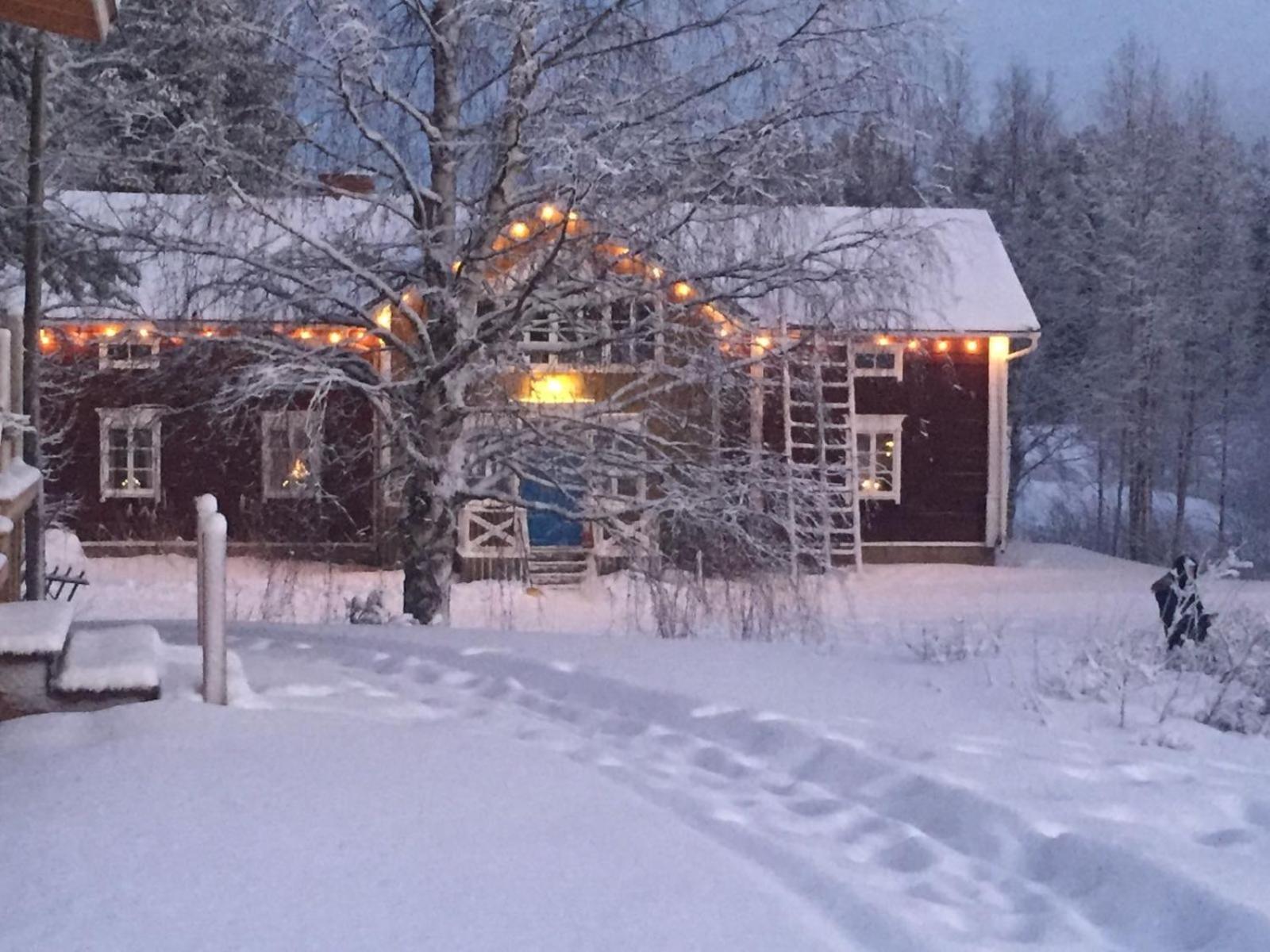 Korvala Log Cabins Экстерьер фото